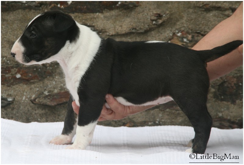 018.JPG