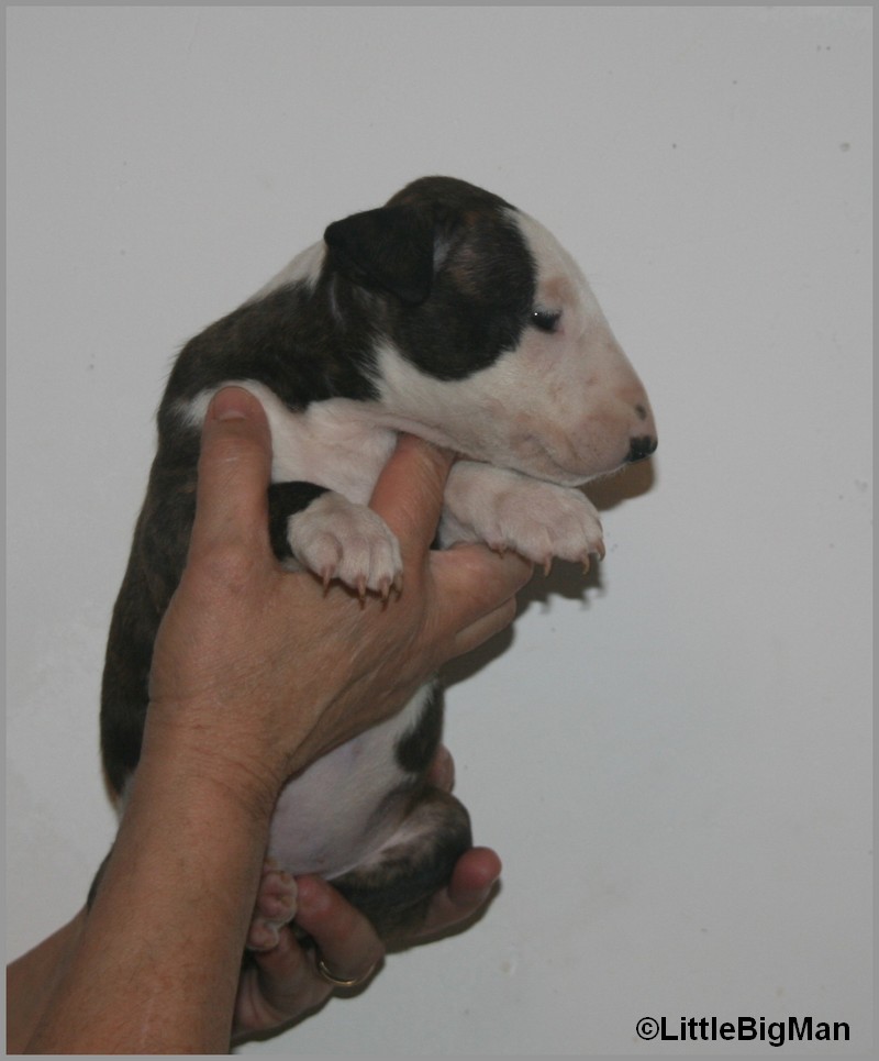 M02A.jpg