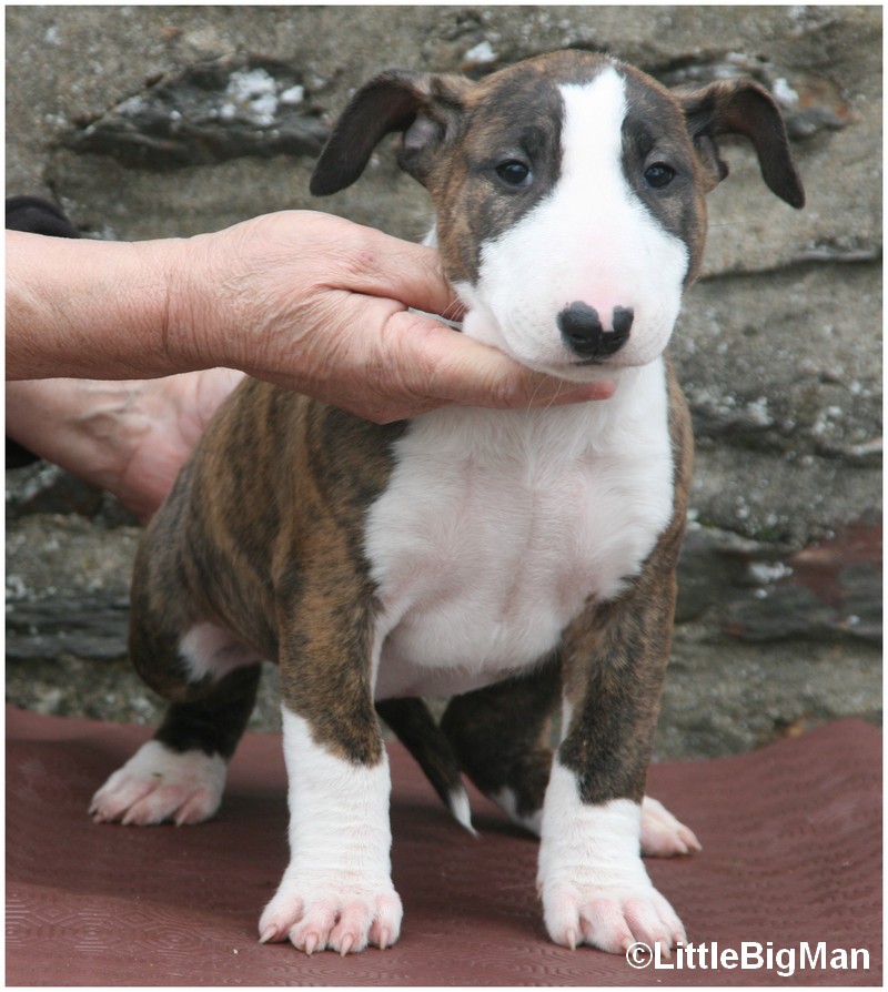 F02A.JPG