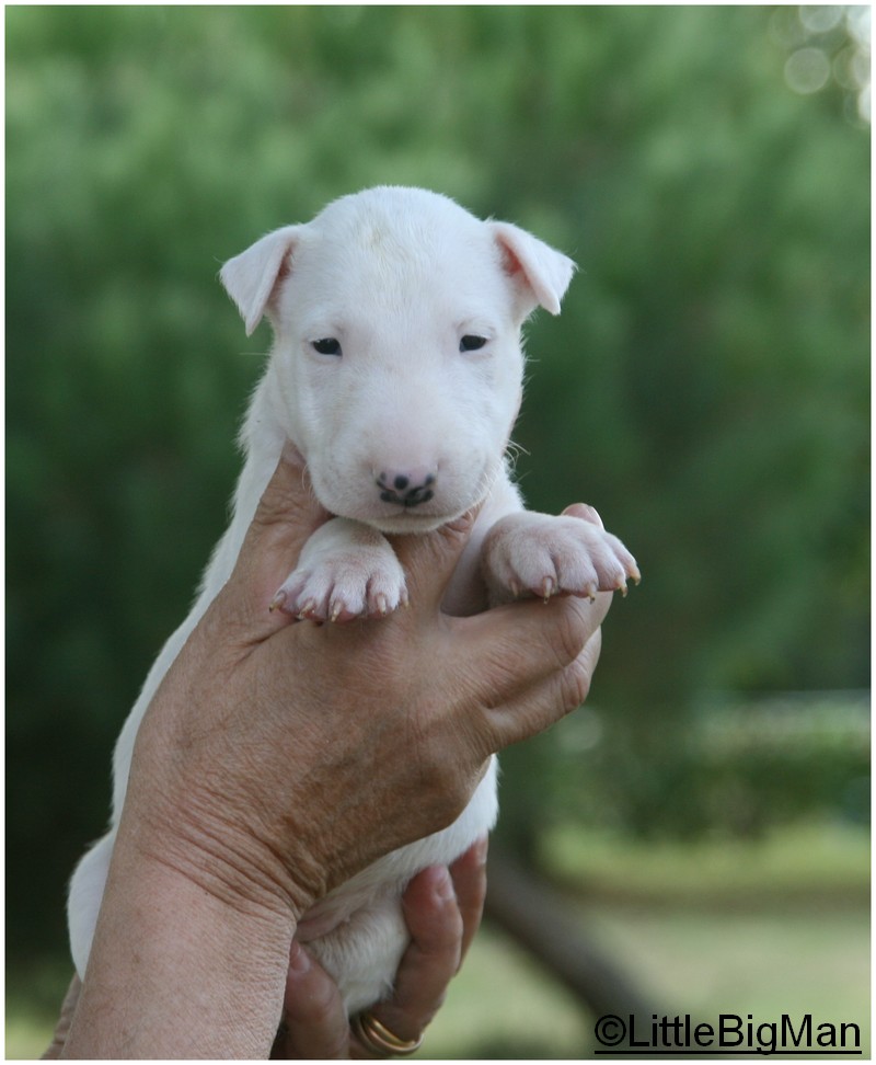 M05.JPG