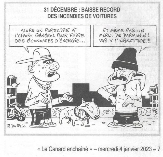 canard.jpg