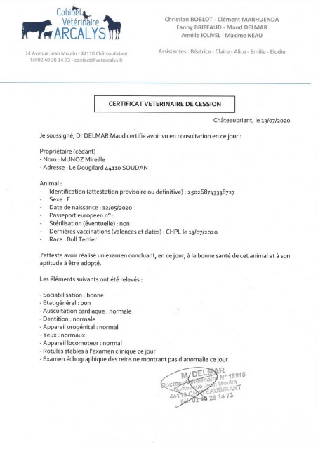 CERT VETO GINOU.jpg