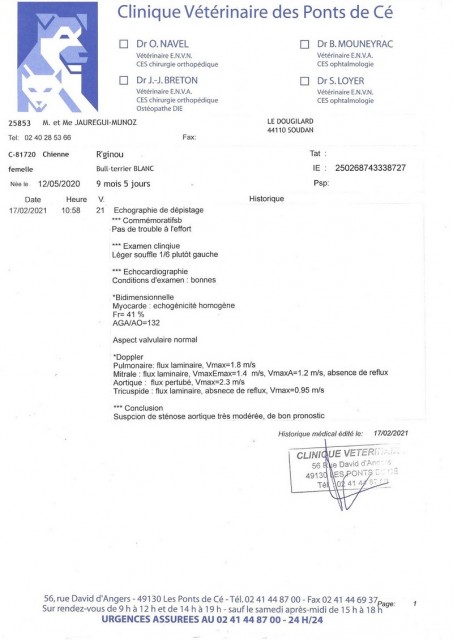 ECHO CARDIAQUE GINOU (1).jpg