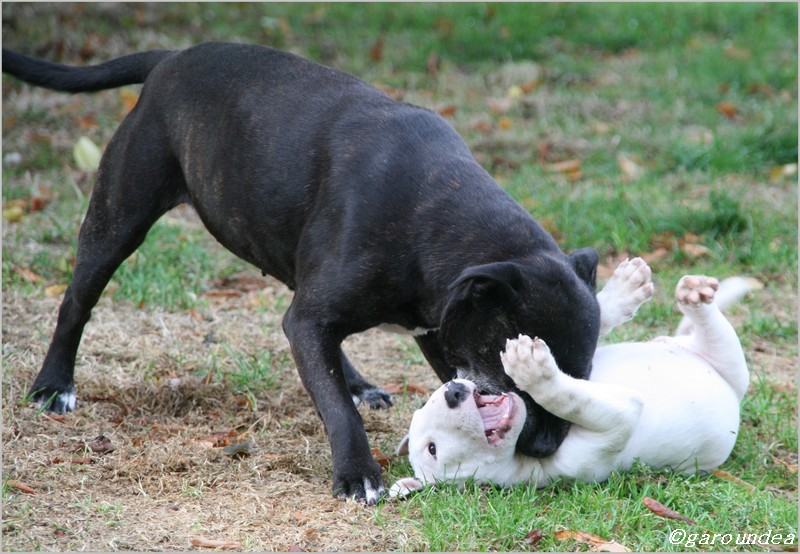 IMG_0052.JPG